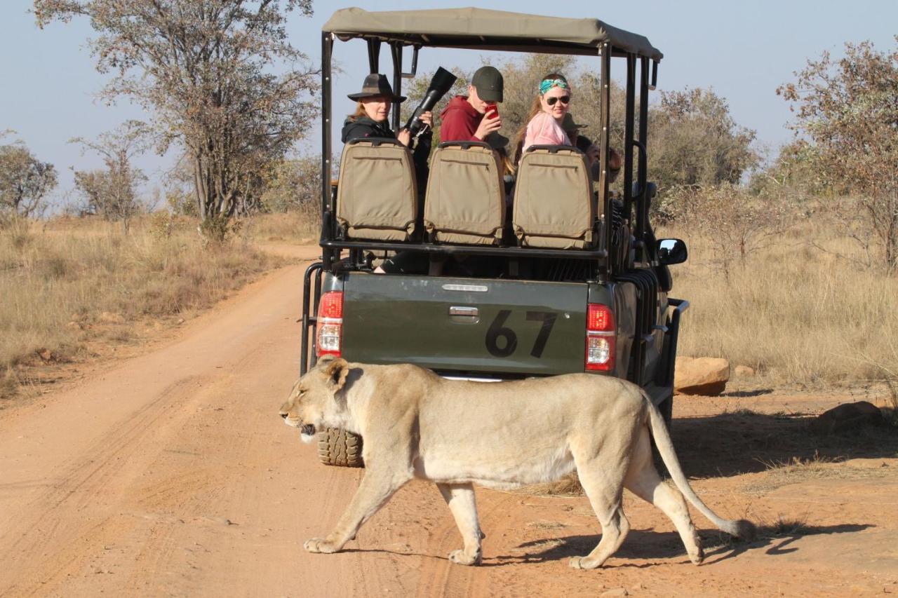 Inzalo Safari Lodge Welgevonden Game Reserve Exteriér fotografie